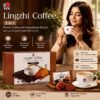DXN Lingzhi 3 in 1 Coffee 420g