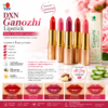 DXN Ganozhi Lipstick – Coral Pink | Hydrating Aloe Vera, Shea Butter & Vitamin E Lipstick | Glossy Long-Lasting Lip Color | 3.0g