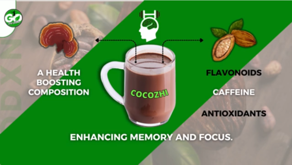 DXN Cocozhi 32g × 20 Sachets | Cocoa Ganoderma Drink